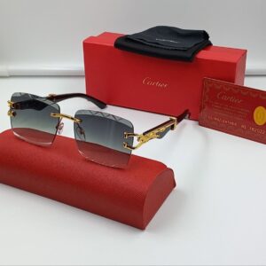Lunettes sans monture – branches panthère dorées